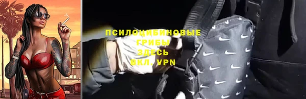 дживик Арсеньев