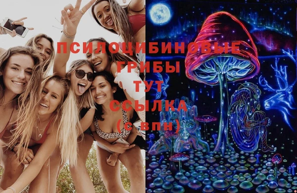 дживик Арсеньев