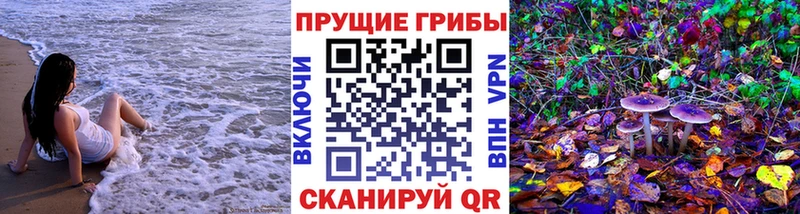 Галлюциногенные грибы Cubensis  даркнет сайт  kraken маркетплейс  Спас-Клепики 